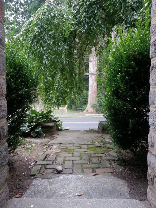 View from my front door