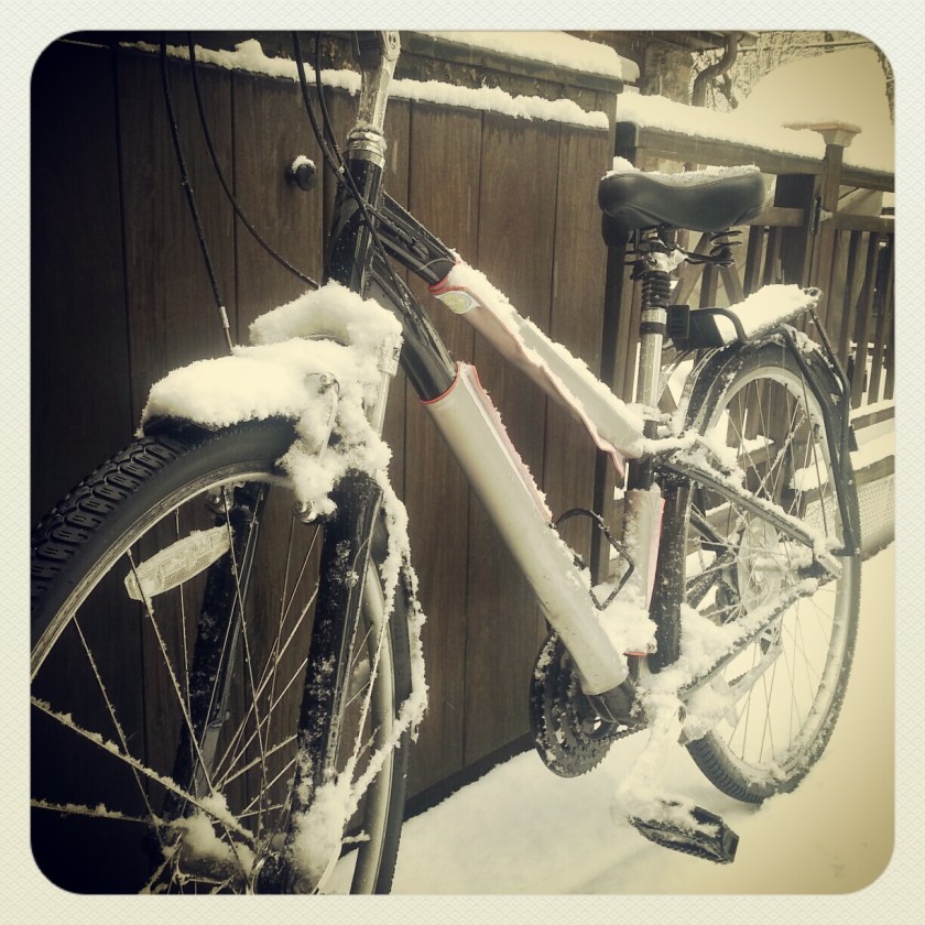 She got me everywhere today safely!