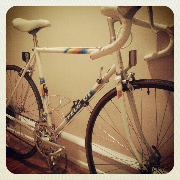 My lovely new bike, pre-overhaul