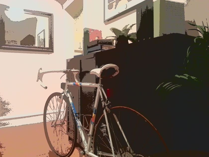 sometimes I let my bikes stay inside