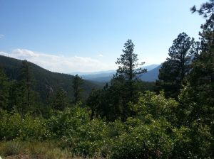 nothing sure is pretty