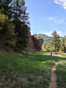 flat singletrack. the trail heads up from here.
