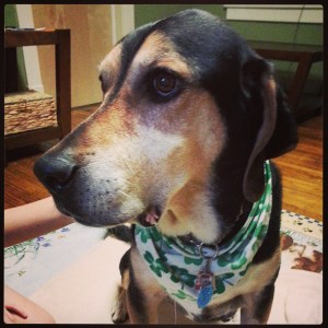 our last few moments with Nixon