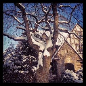 lots of snow this year