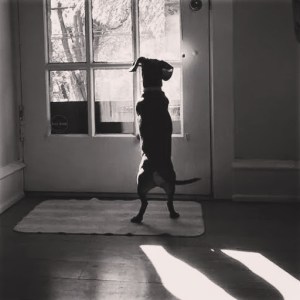 can't wait to see what 2015 brings us! 