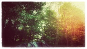 welcome to my backyard