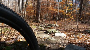 rock appreciation 101