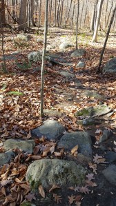 learning how to navigate rocks