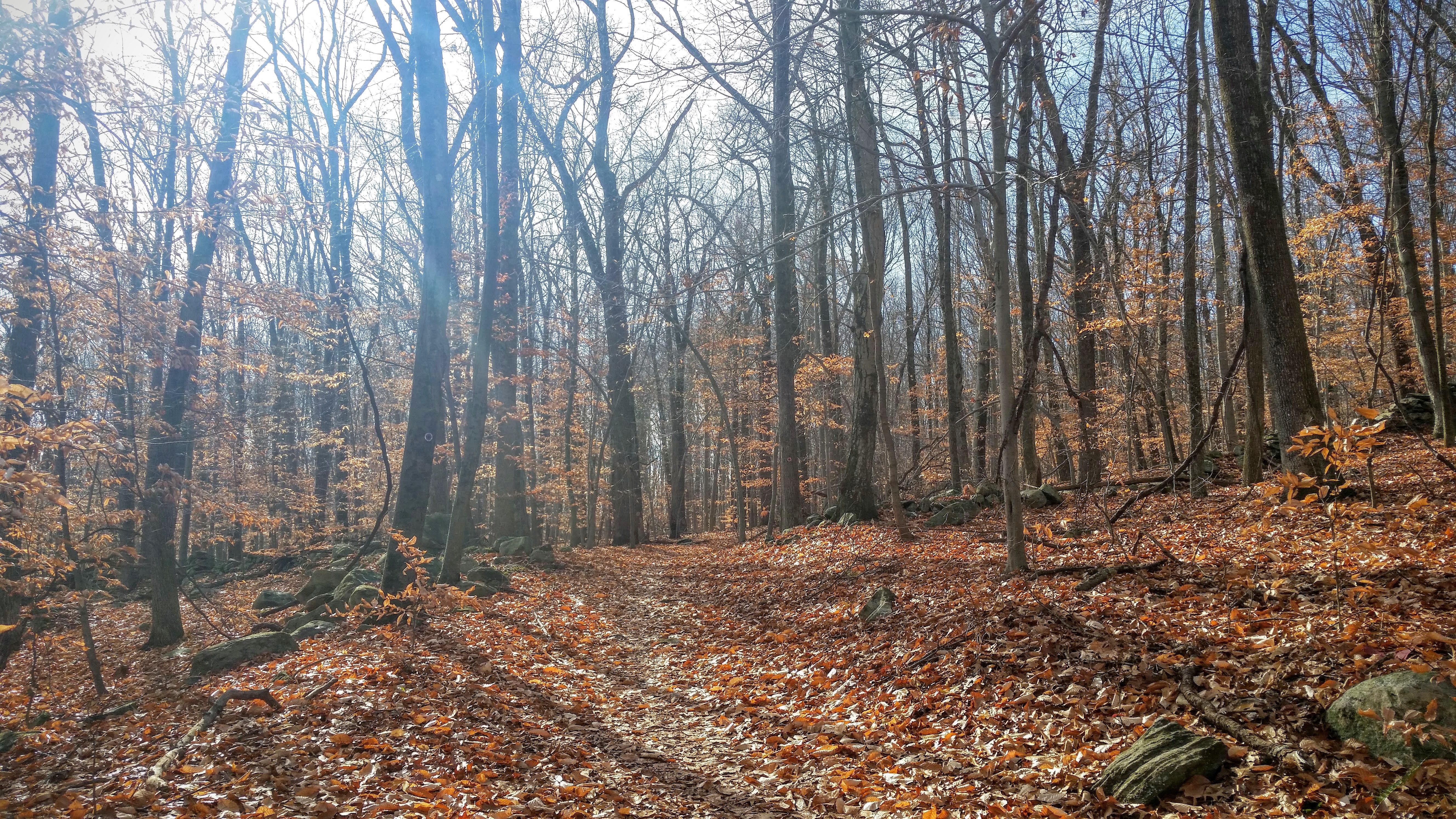 20151127_115249