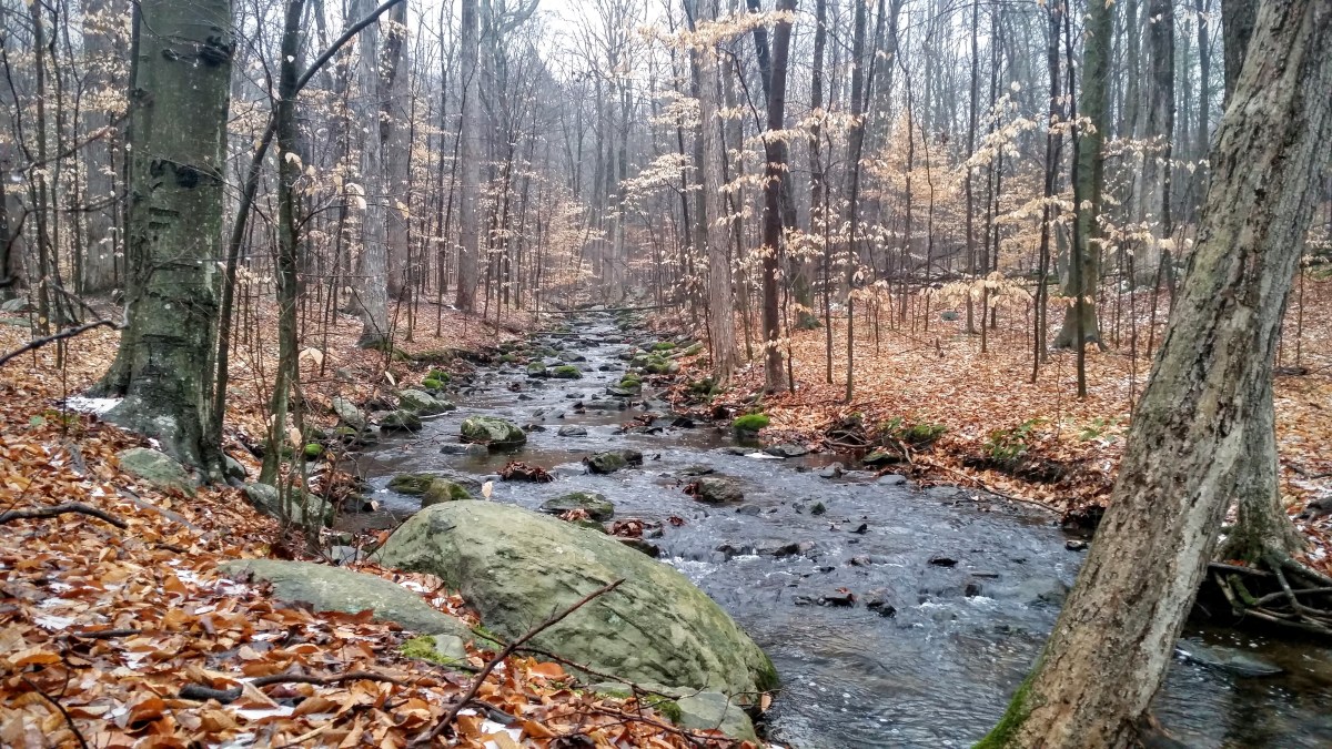 New Year, New&nbsp;Possibilities!