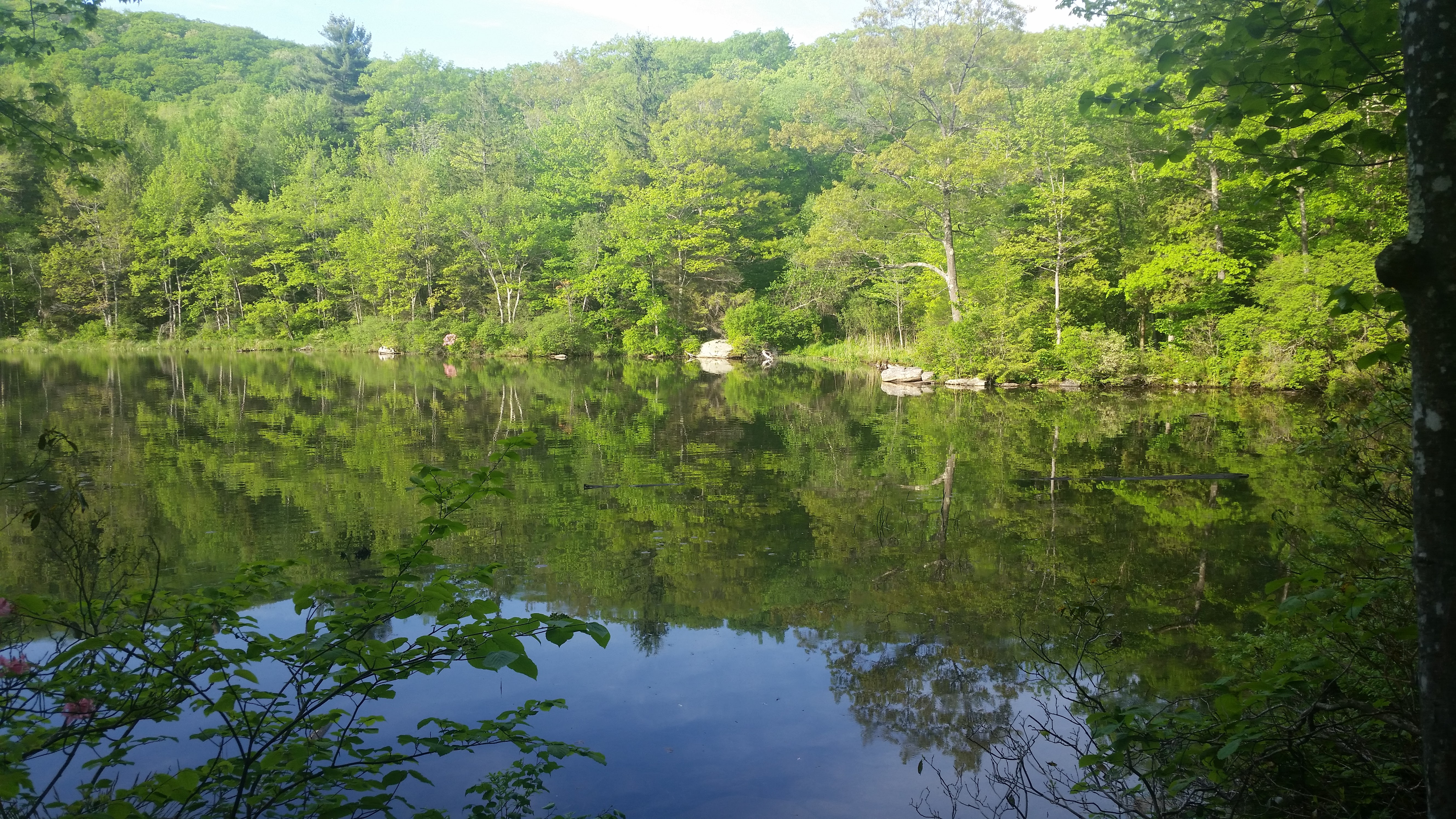 20160528_181012