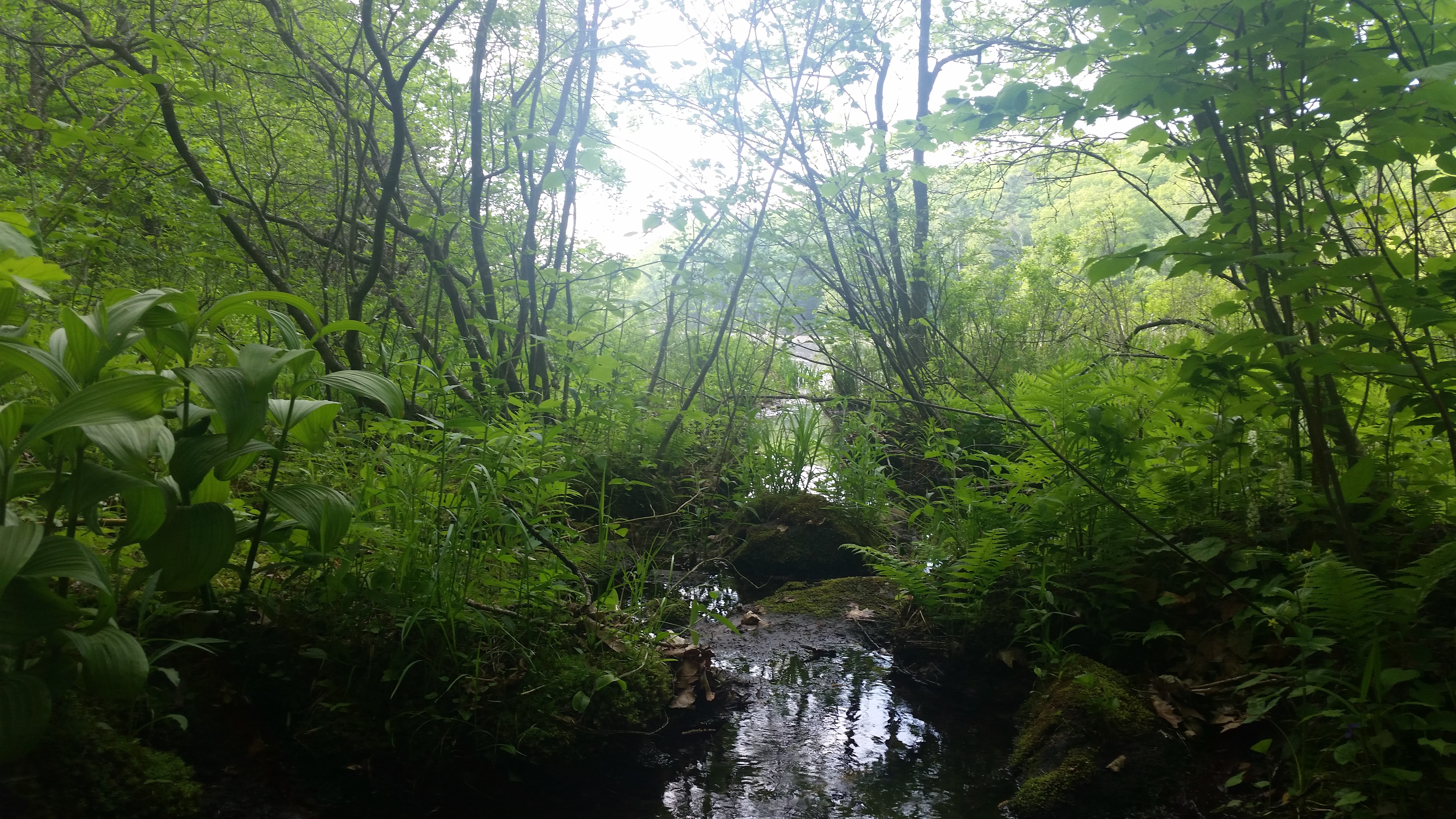 20160528_181131