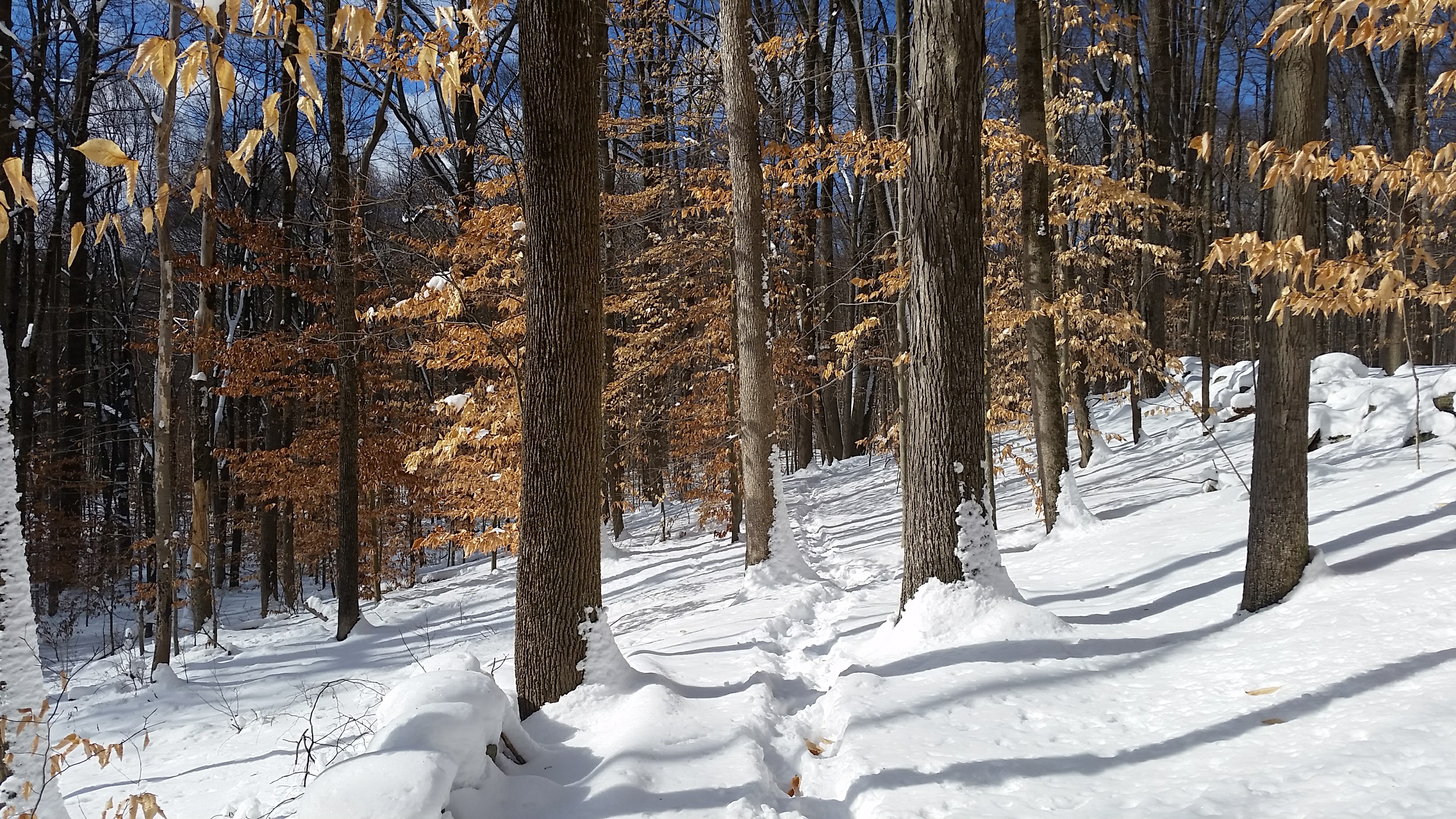 20170210_113251.jpg