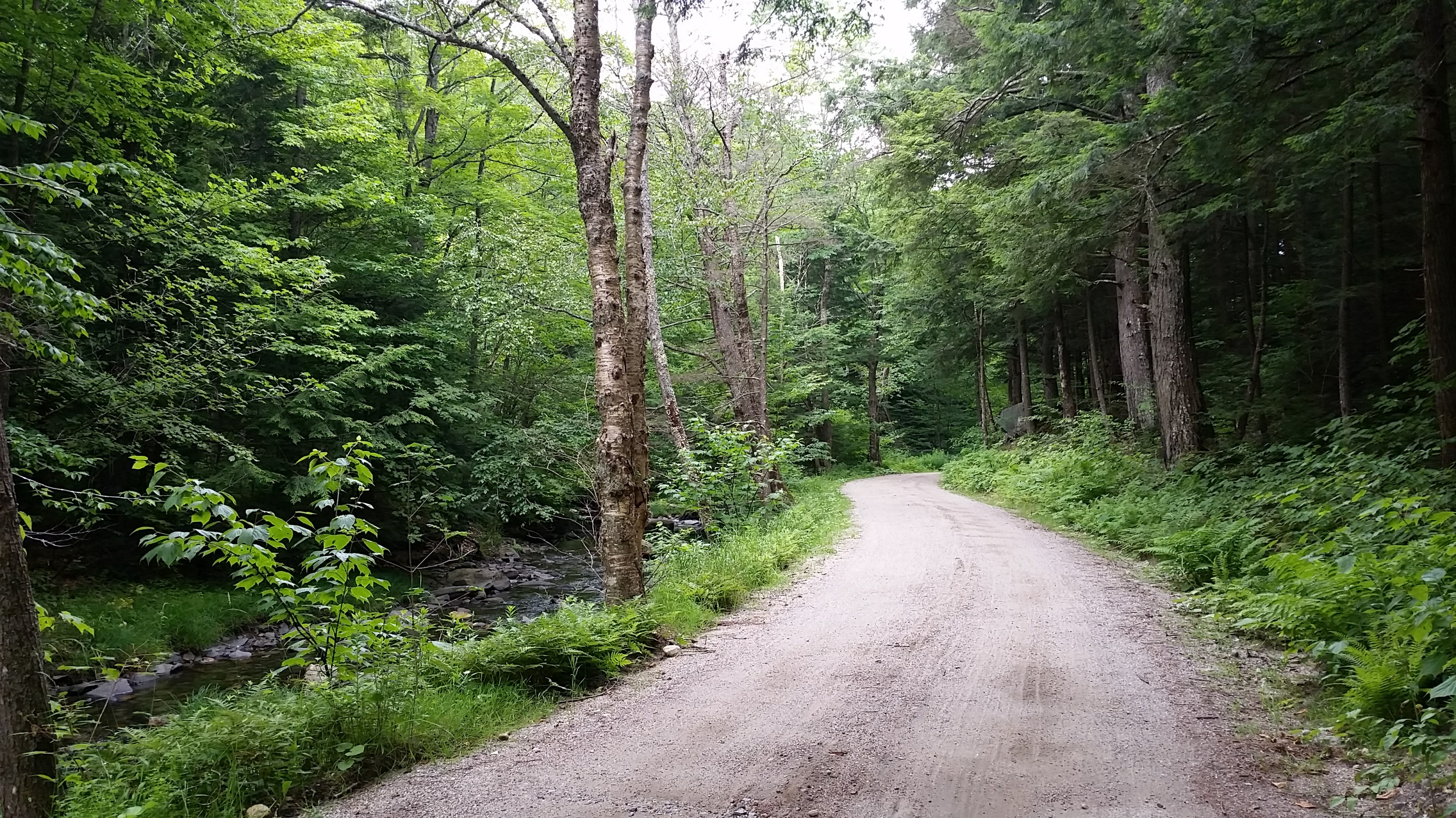 20170722_133020.jpg