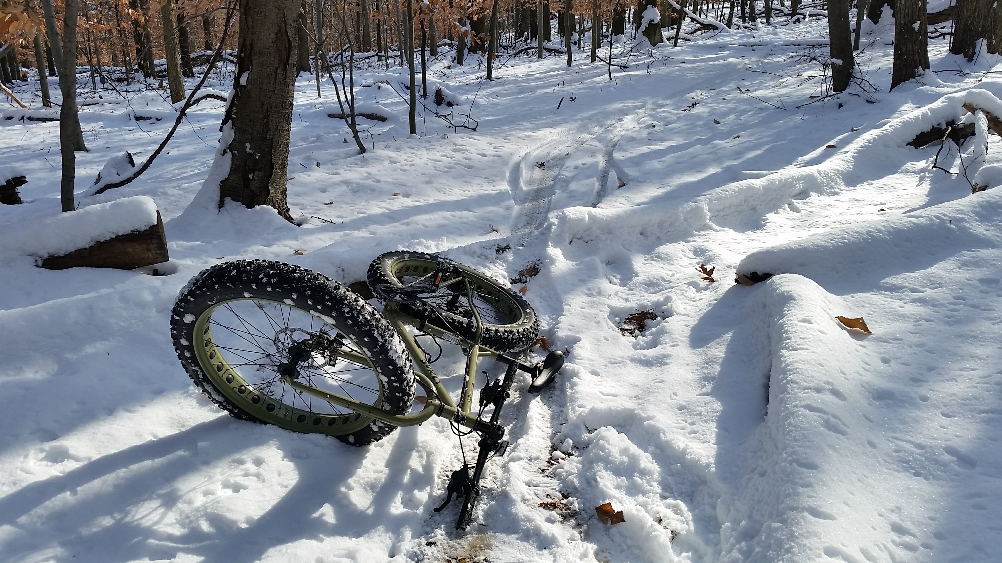 20171210_124959.jpg