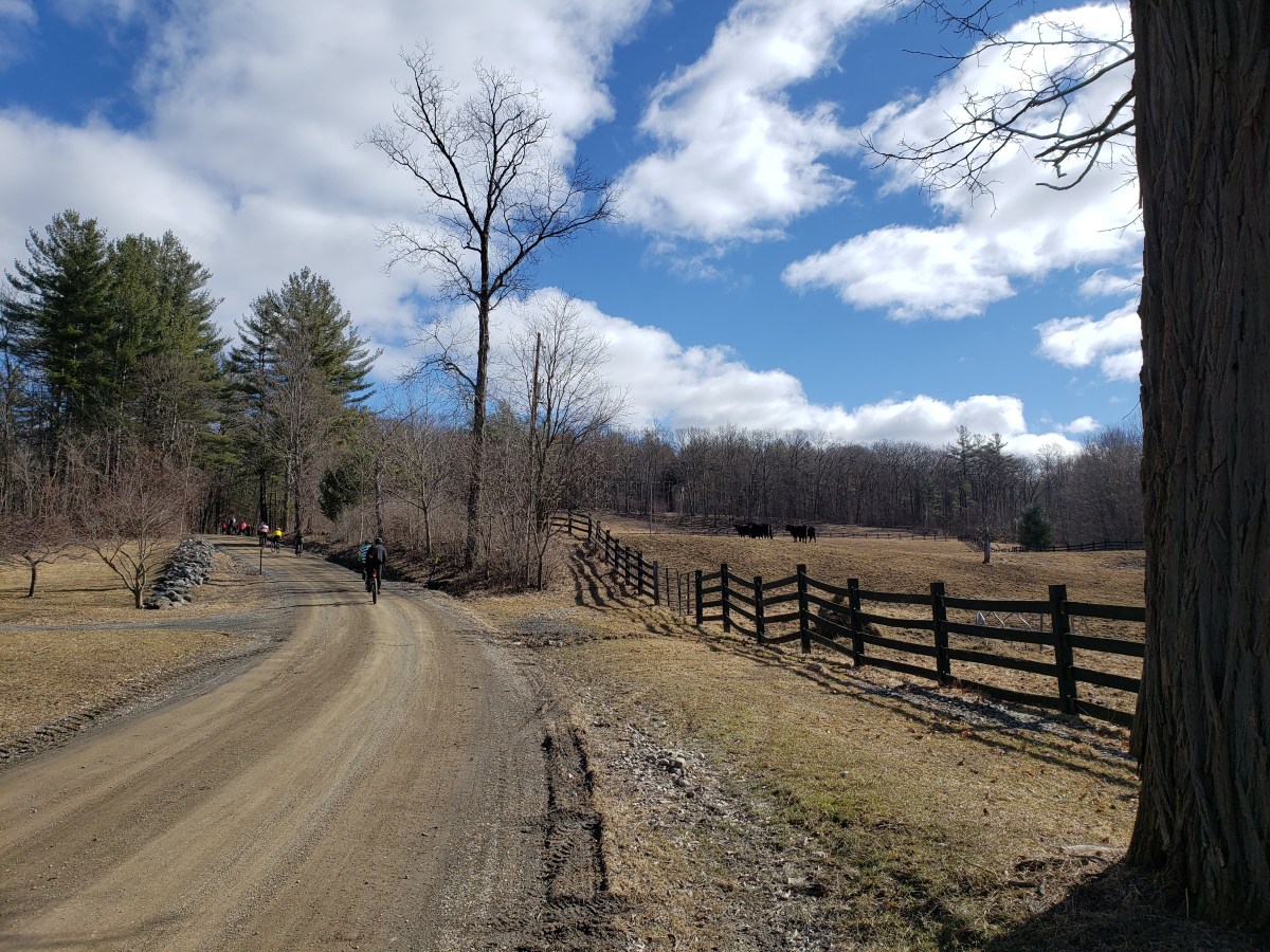 Farmer’s Fatty 2019