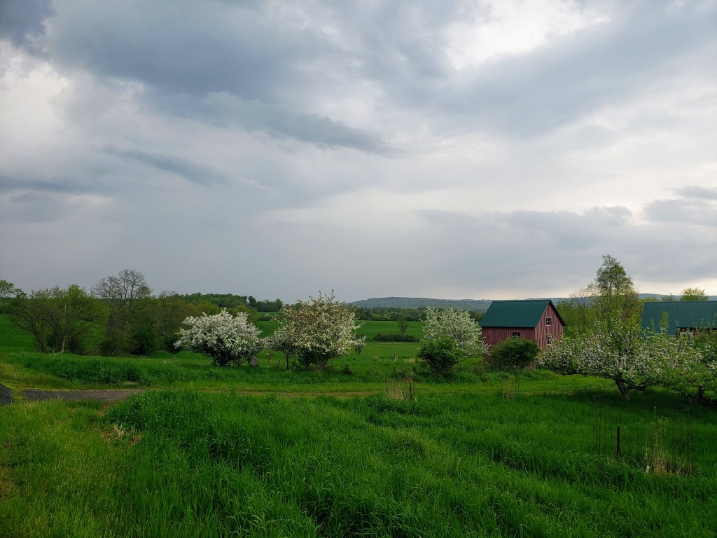Farmer’s Daughter Gravel Grinder&nbsp;2019