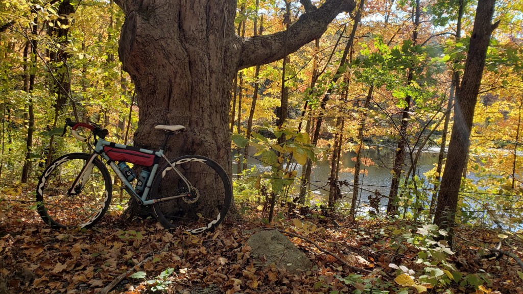 So You Want a Gravel Bike …