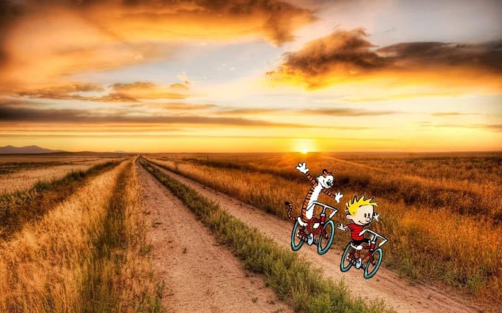 Turn the Page to 2021